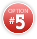 Option 5